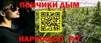 прущие крисы Будённовск