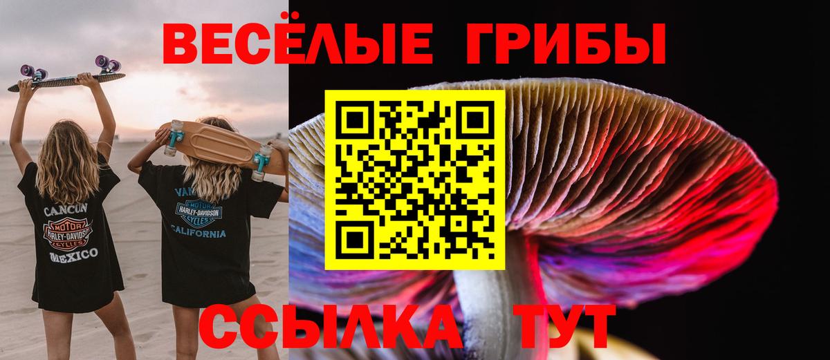 Галлюциногенные грибы MAGIC MUSHROOMS Кинешма
